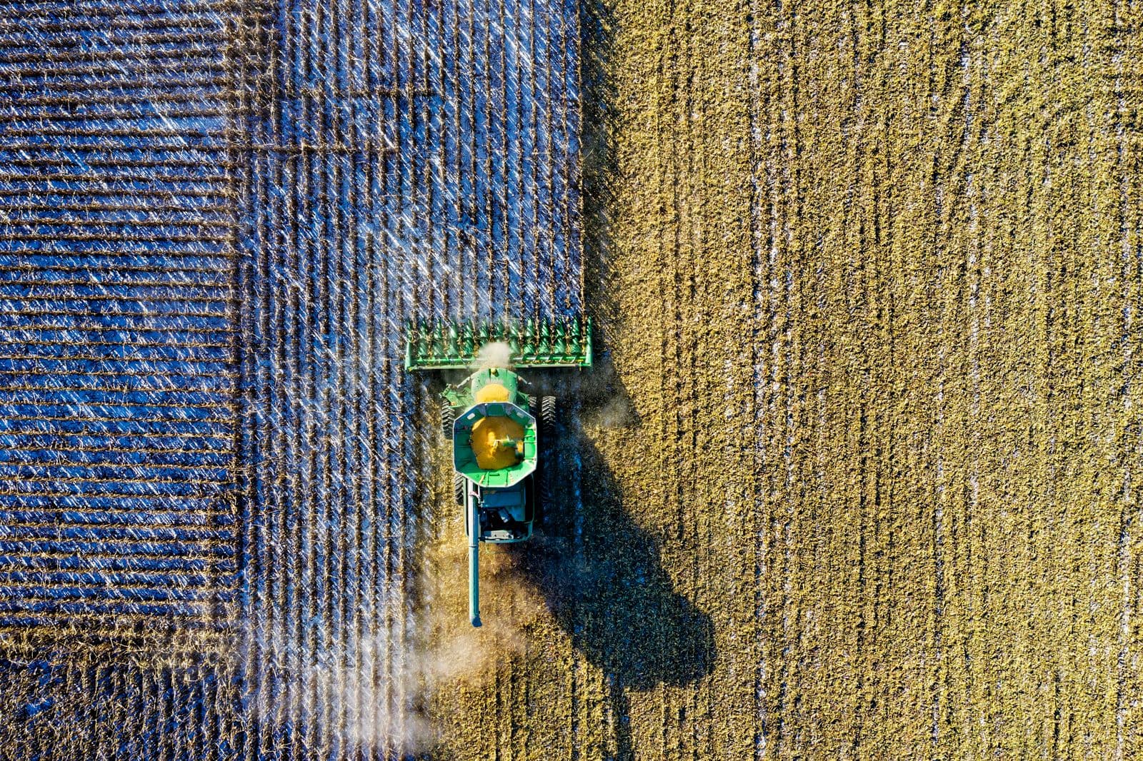 Drohnenaufnahme einer Erntemaschine auf dem Feld