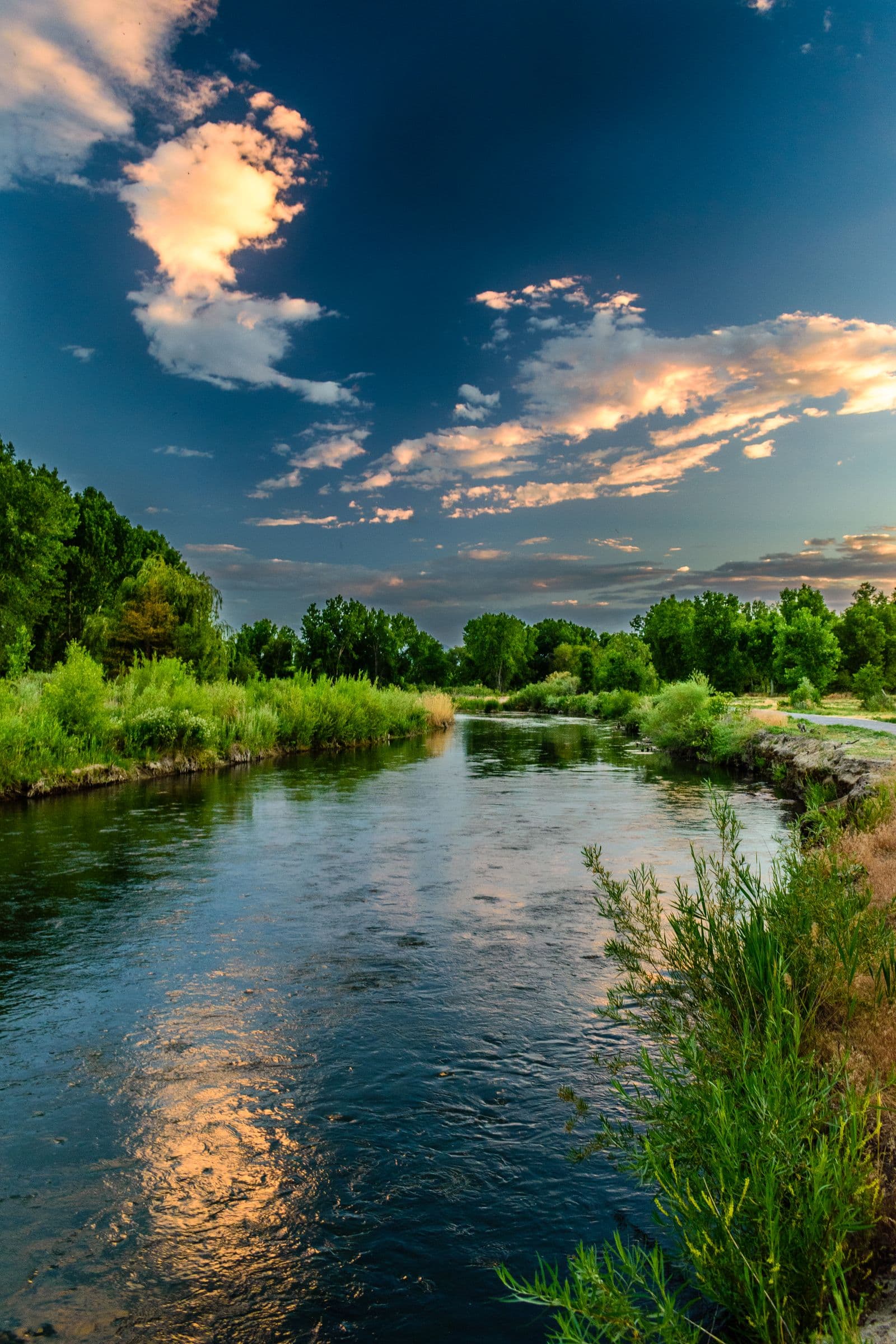Grün gesäumter Fluss aus der Luft